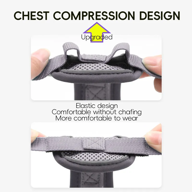 Pet Harness Close-up