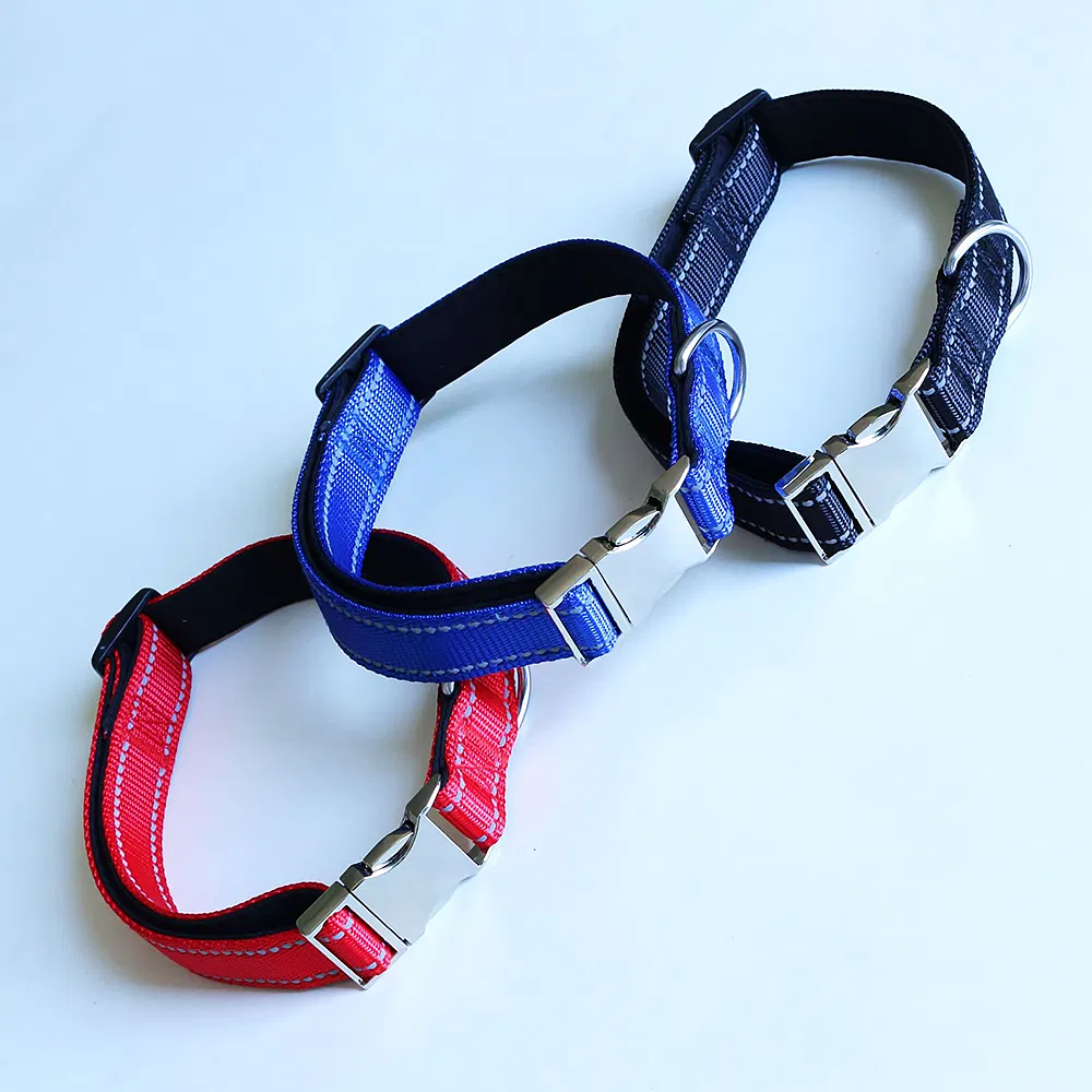 Pet Collar Detail 3
