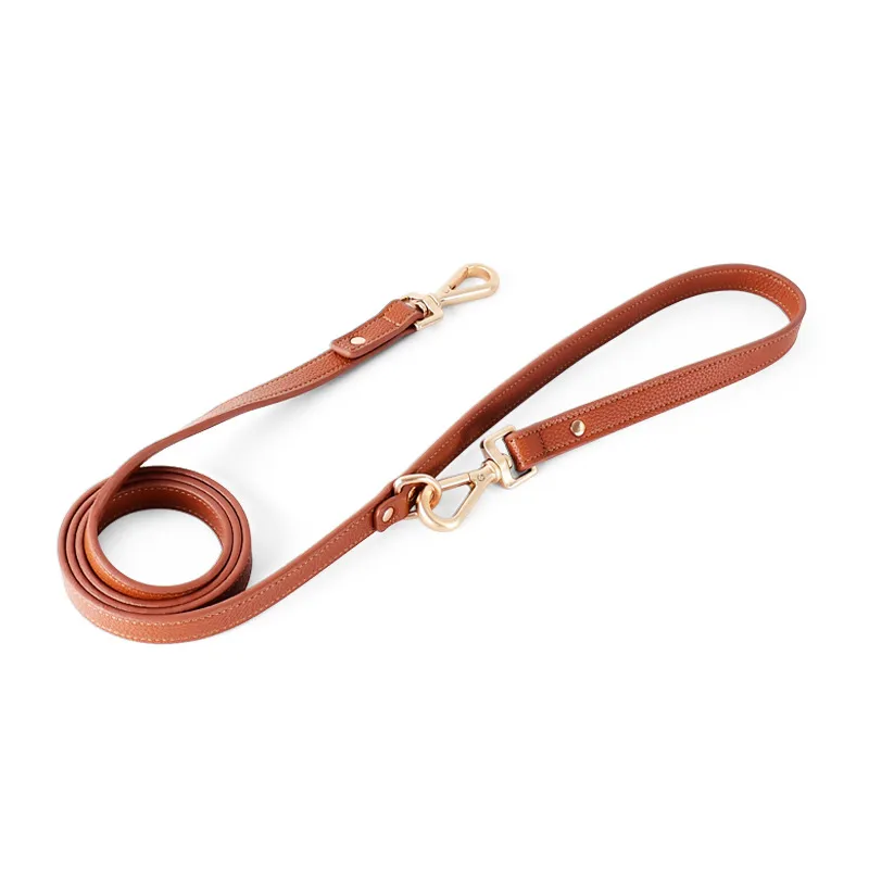 Pet Dog Leash 6