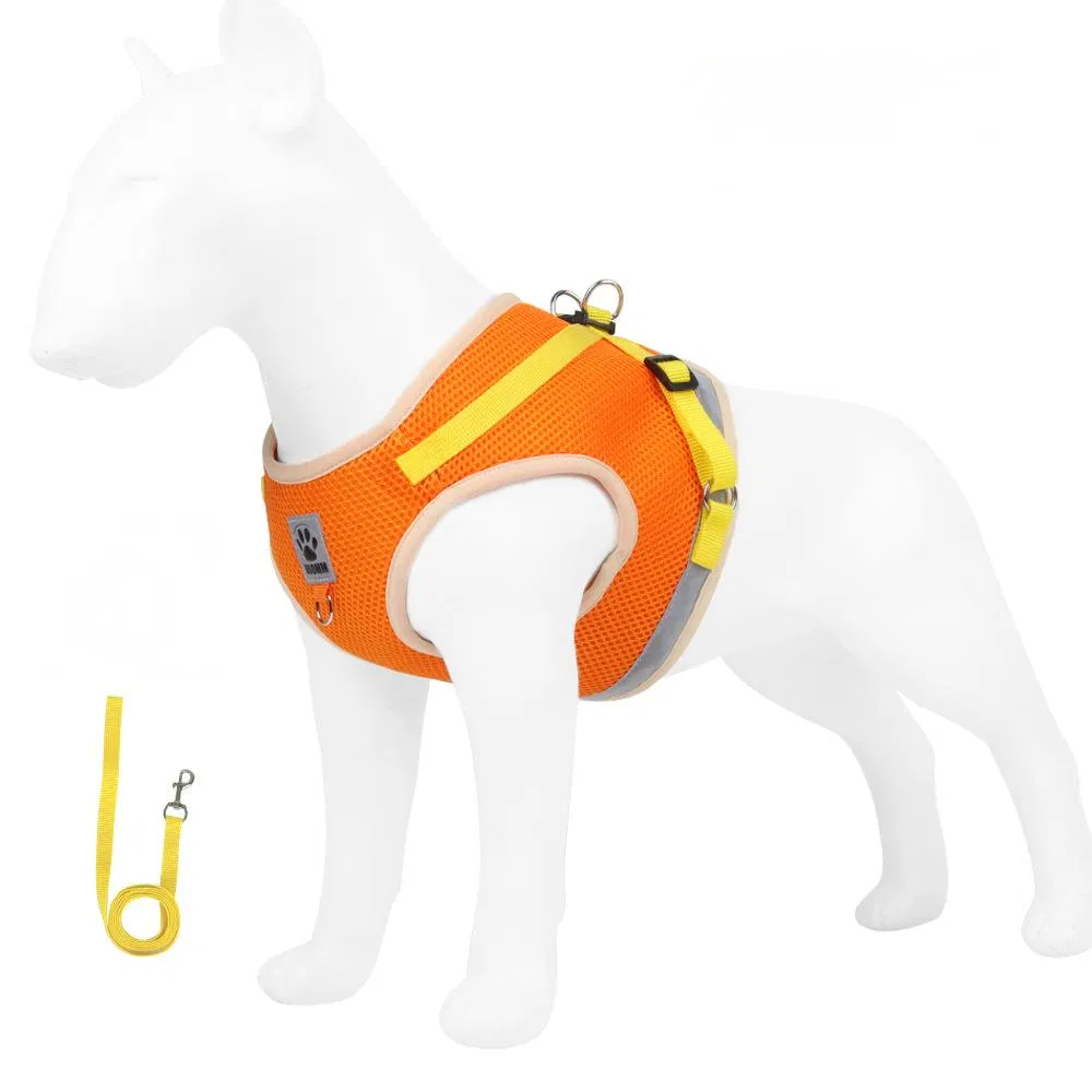 Pet Harness