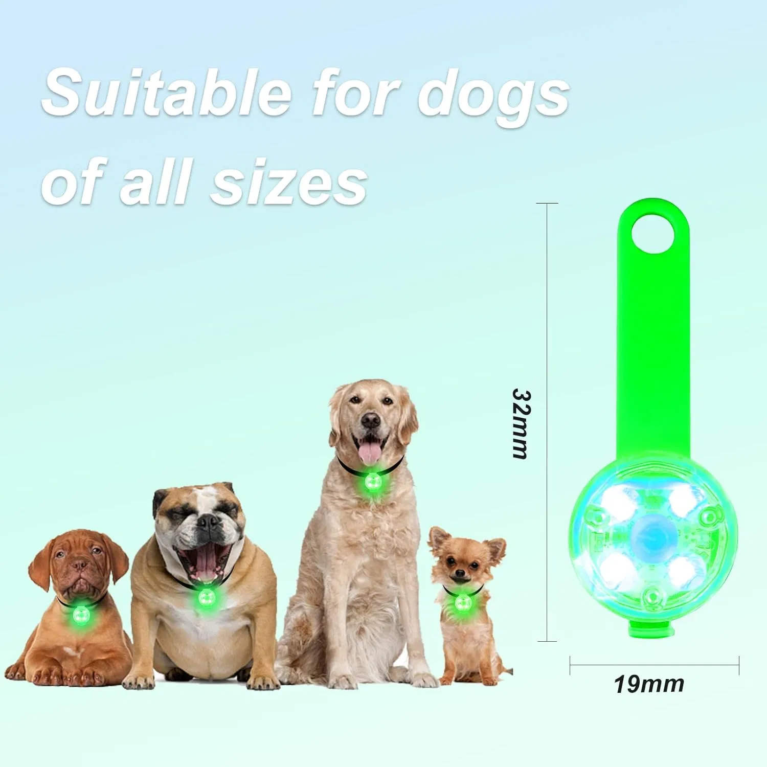 Custom USB Rechargeable LED Dog Collar Lights Waterproof Pet Cat Light Pendant