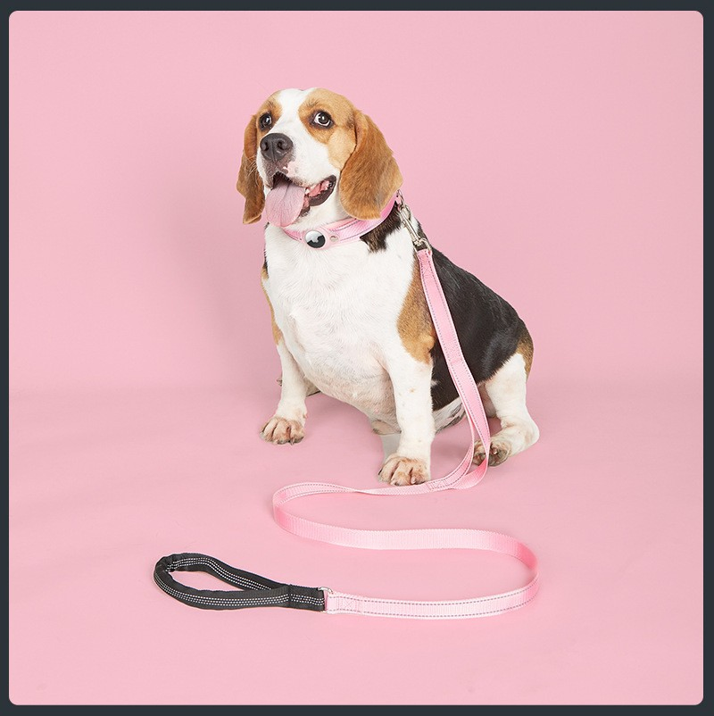 Dog Walking Chest Strap with Durable Leash for Large Dogs