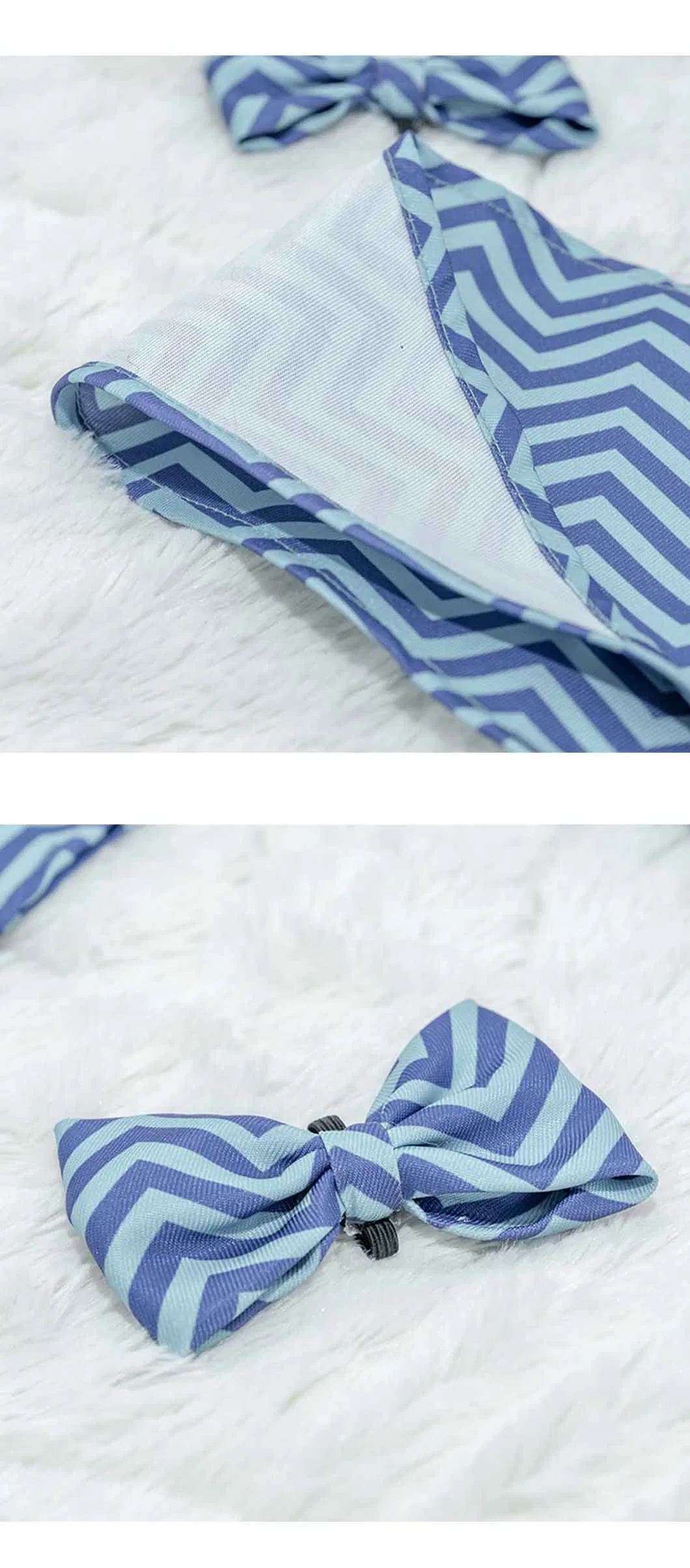 Pet Birthday Set Detail 3