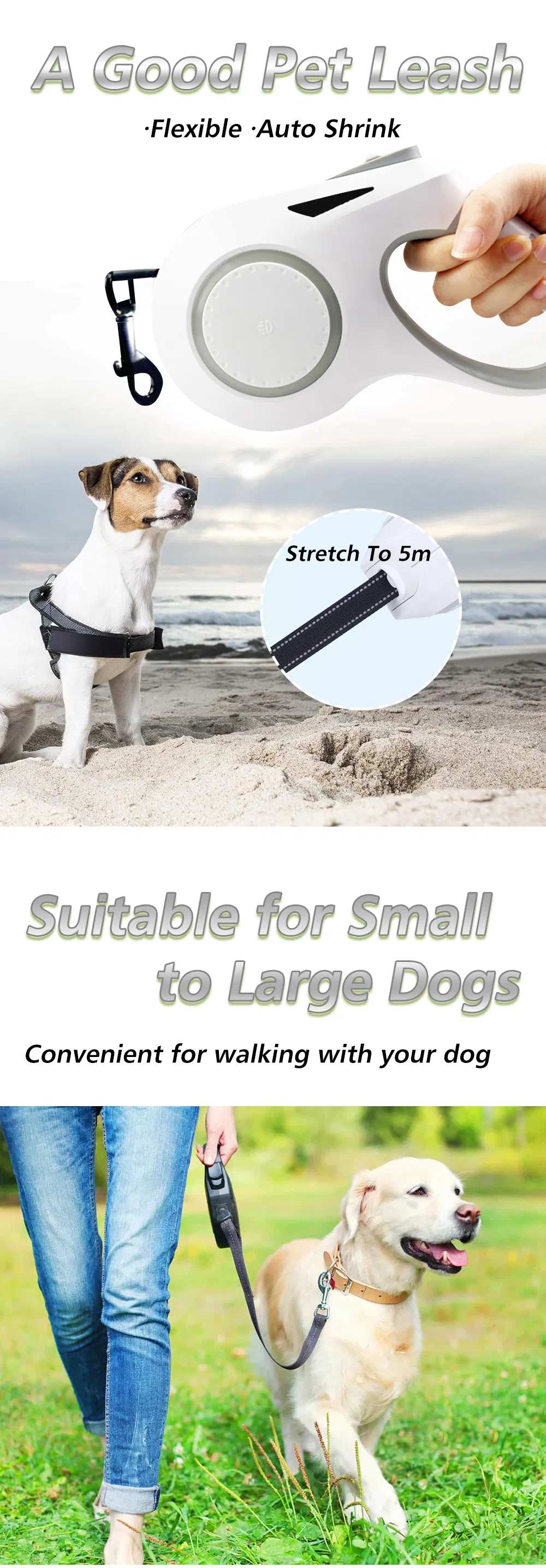 Retractable Dog Leash Details