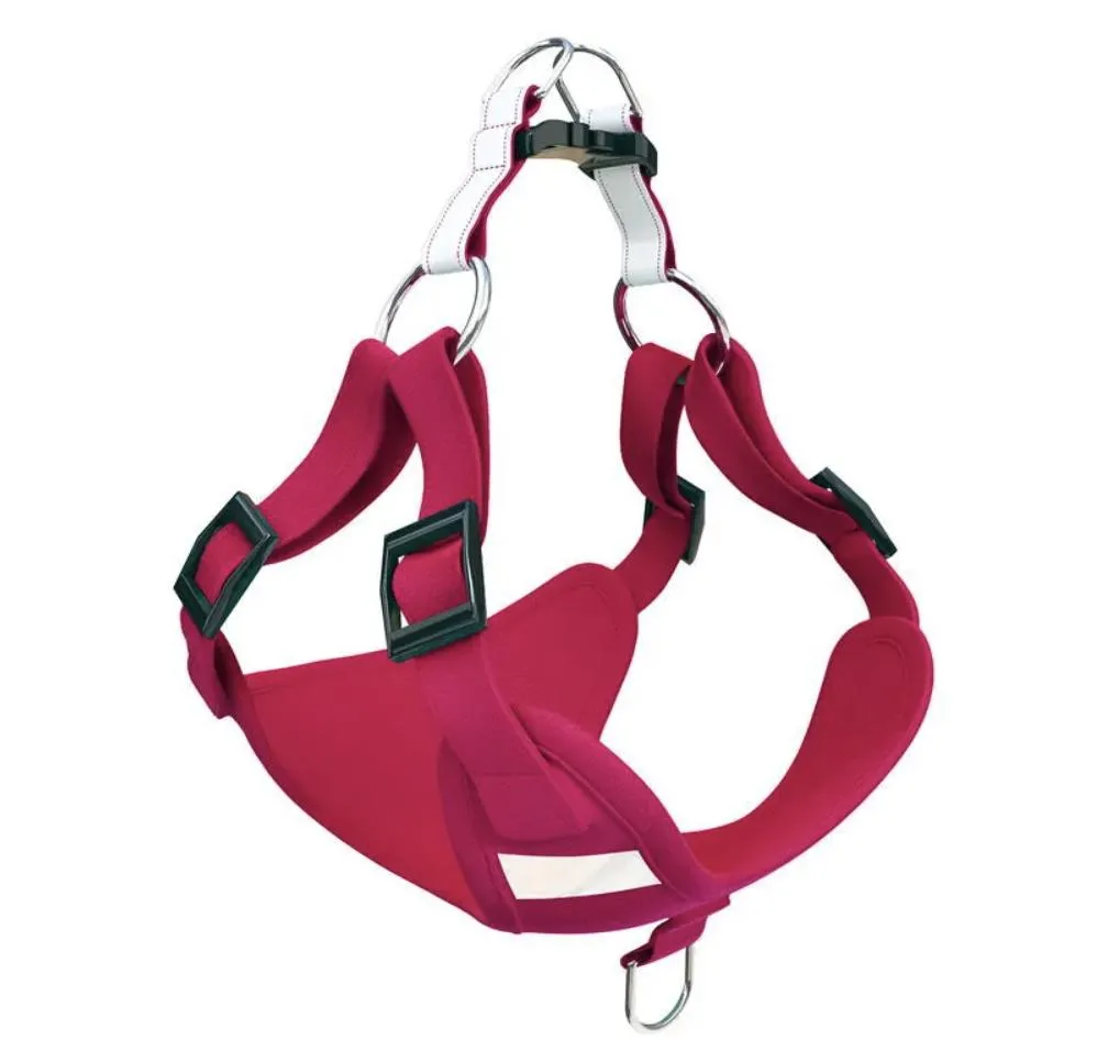 Pet Harness Showcase 4