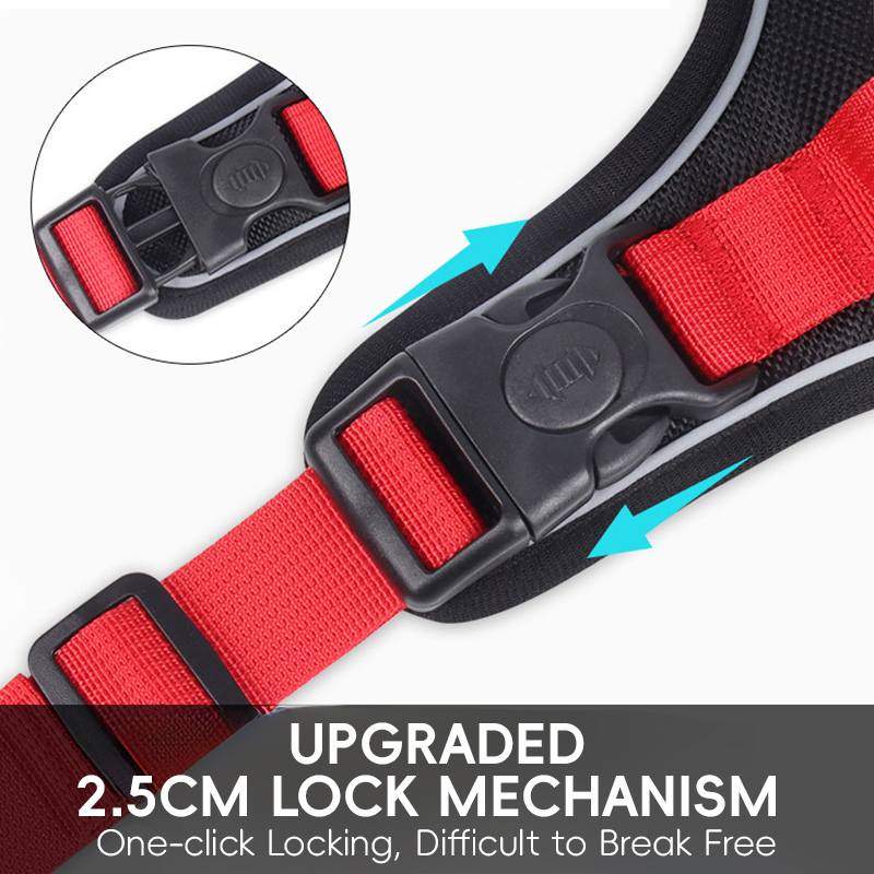 Durable Big Dog Chest and Back Strap for Outdoor Adventures