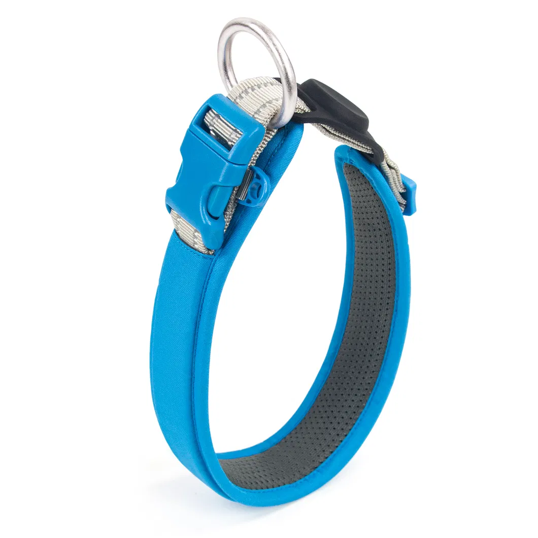 Durable Dog Collar