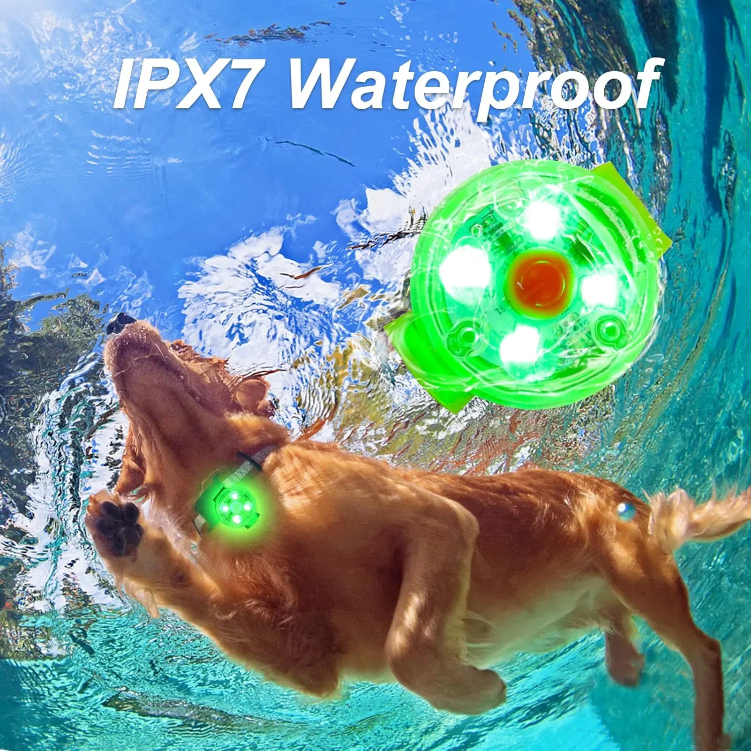 Custom USB Rechargeable LED Dog Collar Lights Waterproof Pet Cat Light Pendant