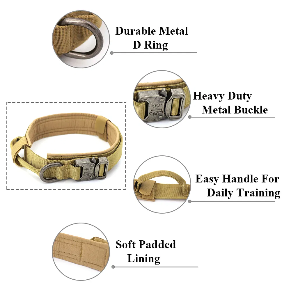 Solid Pet Collar Details