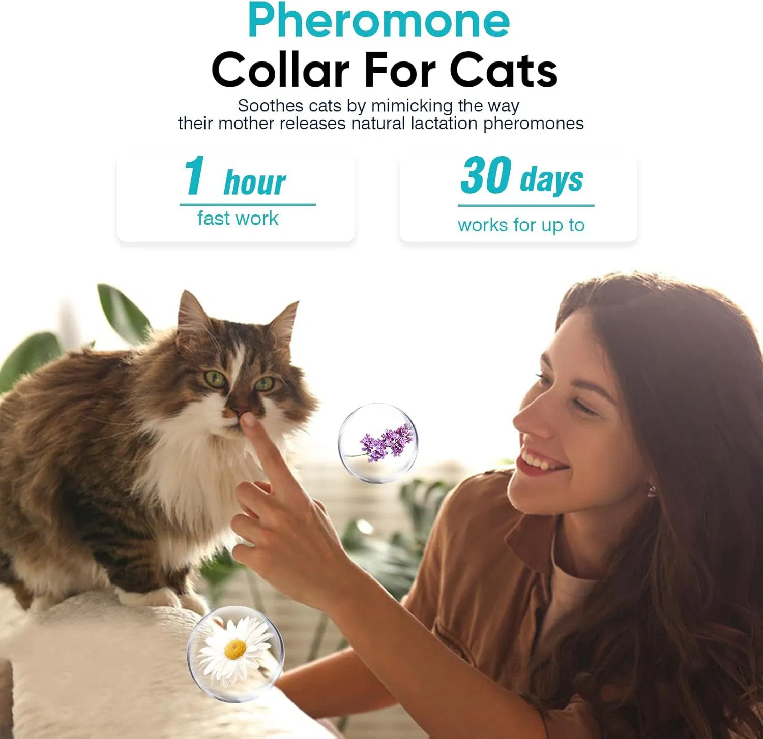 Pet Calming Collar Detail 1