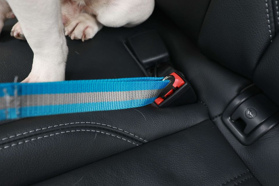 Adjustable Pet Seat Belt for Vehicle Nylon Pet Safety Seat Belts Heavy Duty Car Seat Belt for Pets