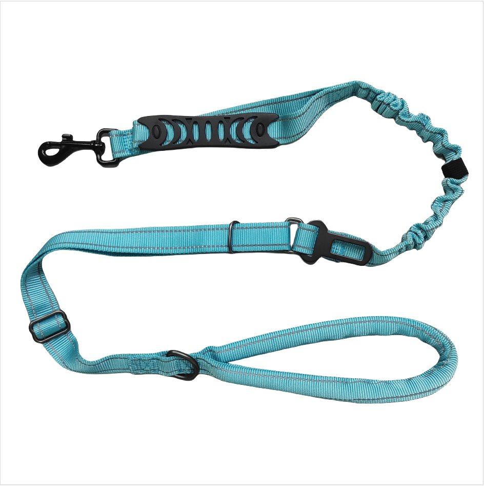 Wholesale Retractable Dog Lead Product Custom Multi-Color Heavy Duty Nylon Webbing Pet Reflective Bungee Cat Dog Training Leash