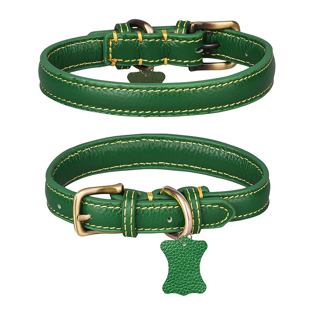 Training Collar Detail 7