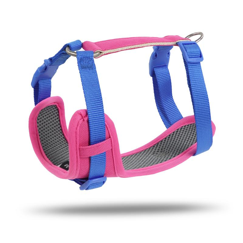 Wholesale Dog Harness with Leash Cute Pet Puppy Backpacks Adjustable Pets Self Carrier Bag for Dogs Travel Hiking Daily Walking