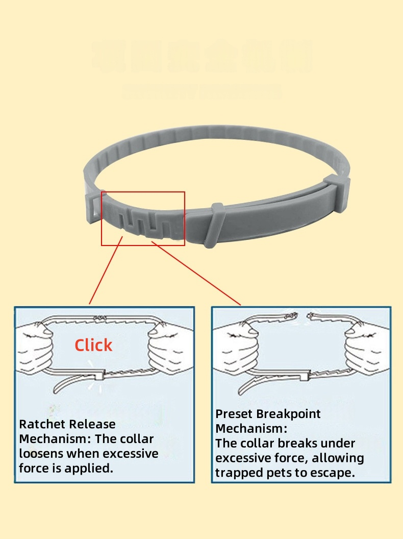 Durable Reflective Pet Collar for Safety and Comfort in All Sizes