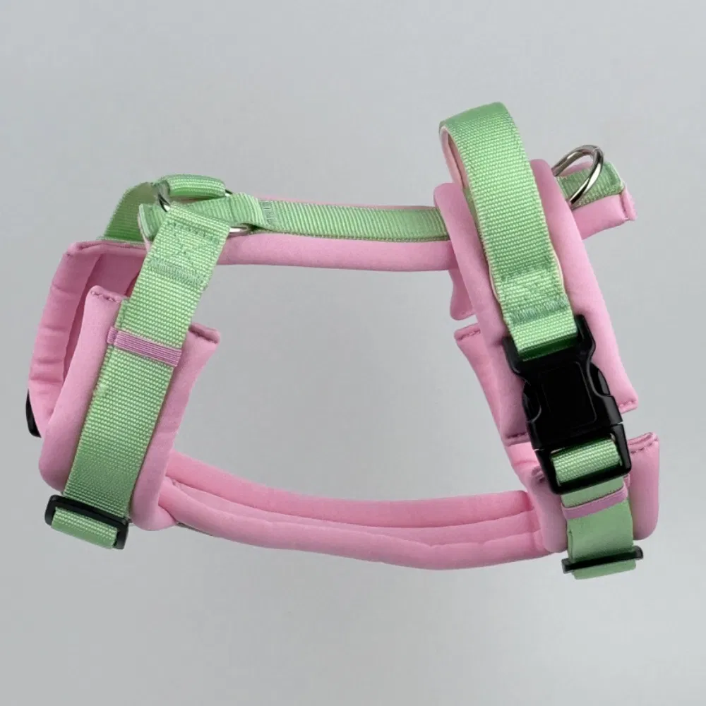 Dog Harness Detail