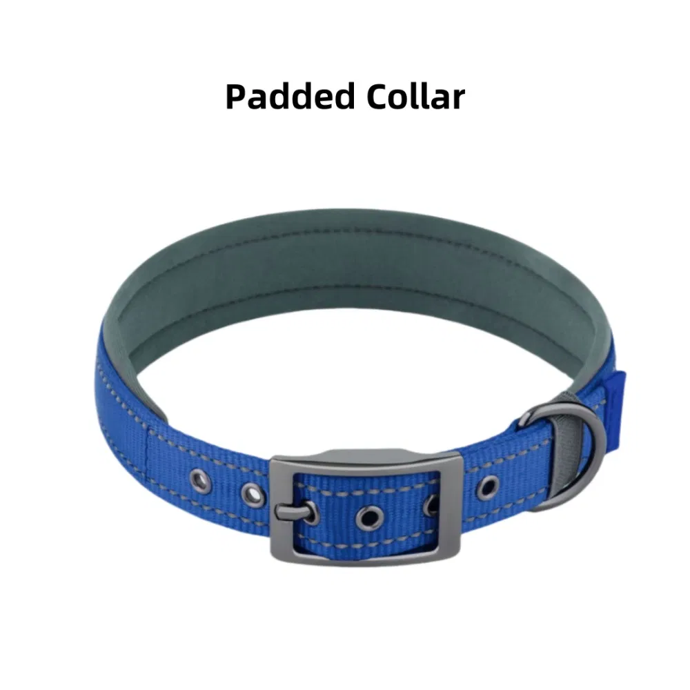 Pet Collar Detail 1