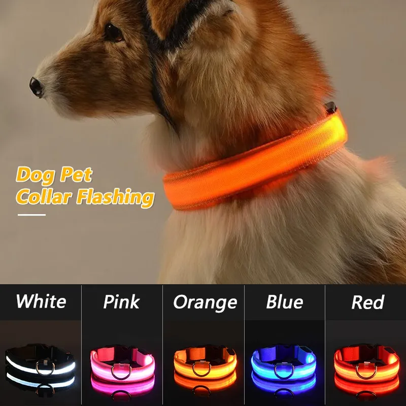 LED Dog Collar View 9