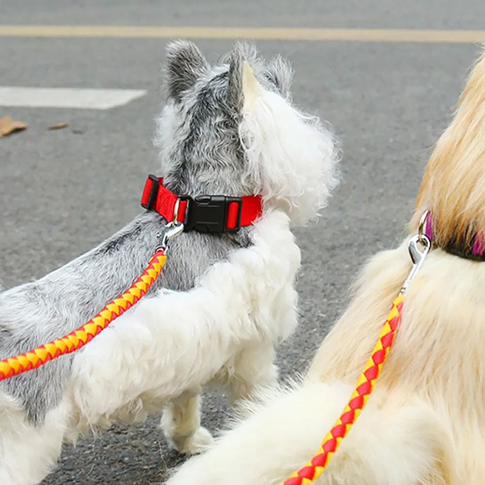 Wholesale Rope Pet Lead with Retractable Dog Leash