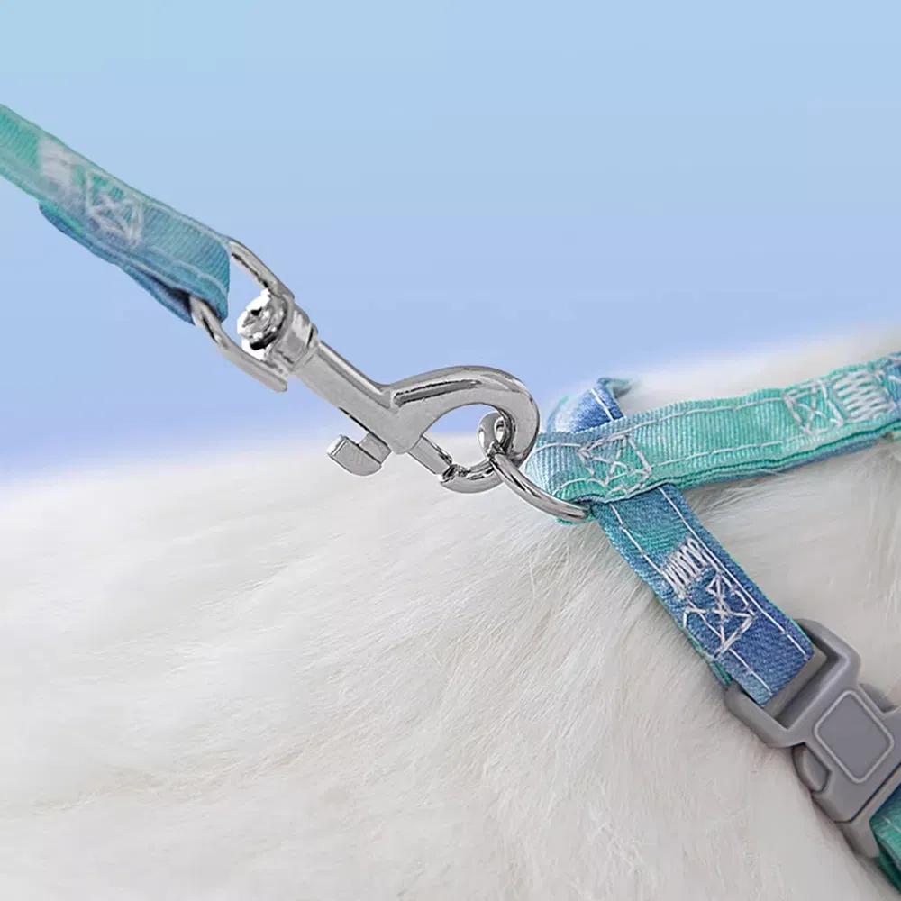 Comfort Fit Pet Collar and Leash Kit with Reflective Stride