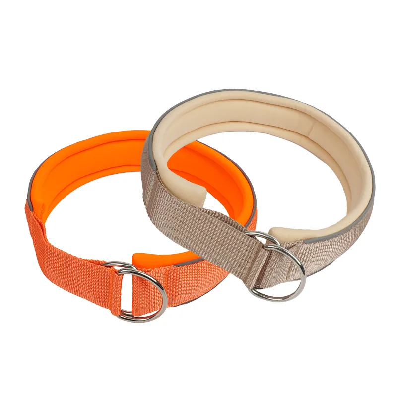 Nylon Dog Collar