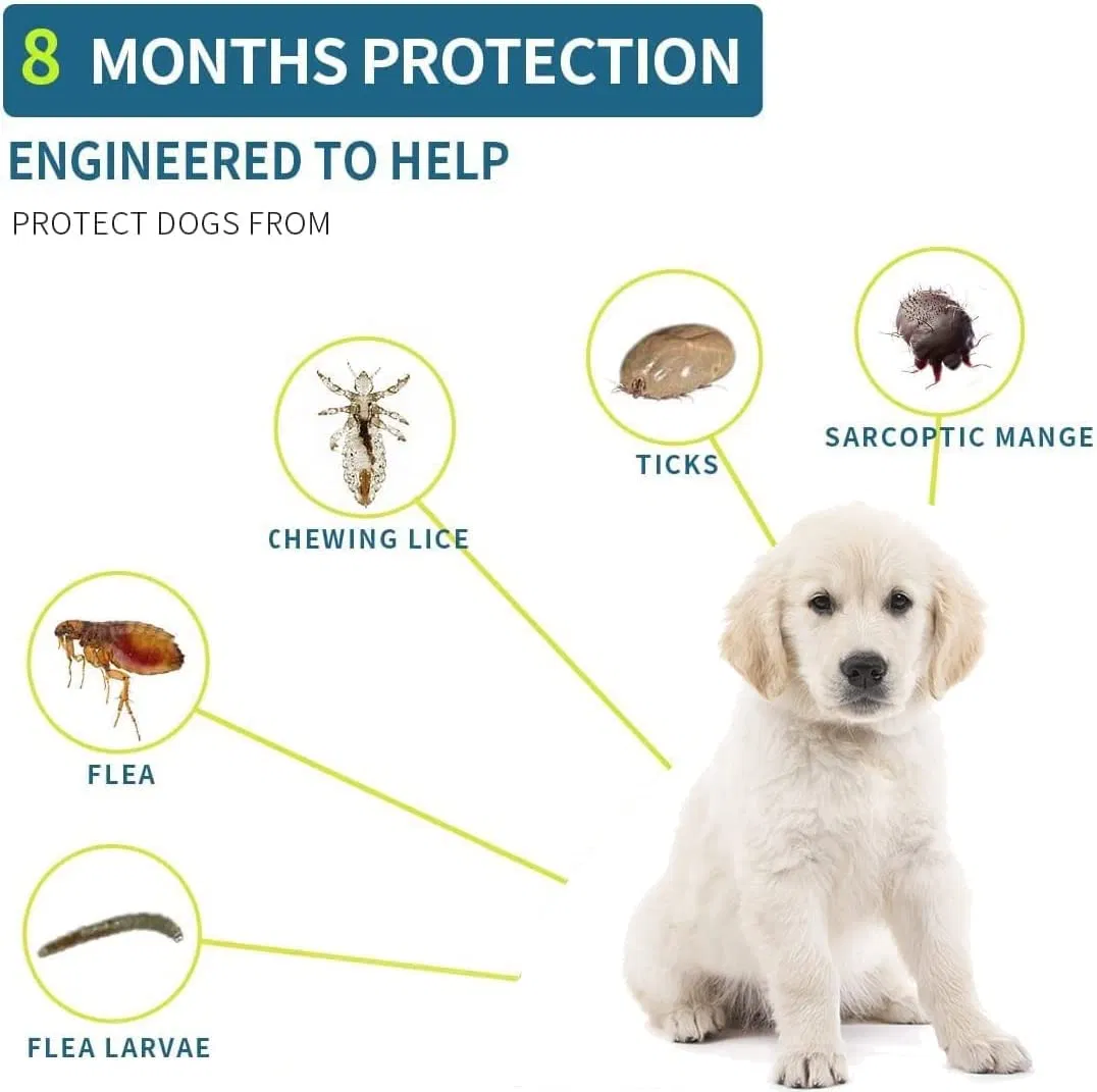 Long-Lasting Pet Flea and Tick Prevention Treatment for Small Dogs, Flea Control Collar, 8 Months Protection