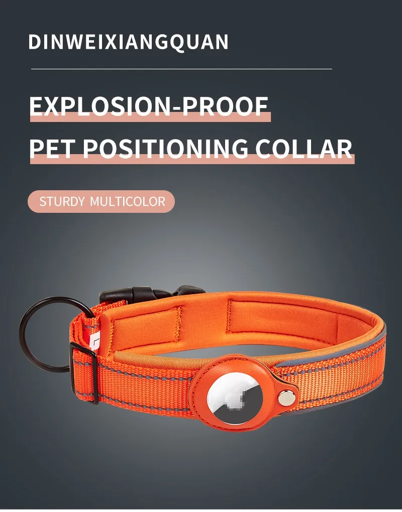 Pet Collar Detail 2