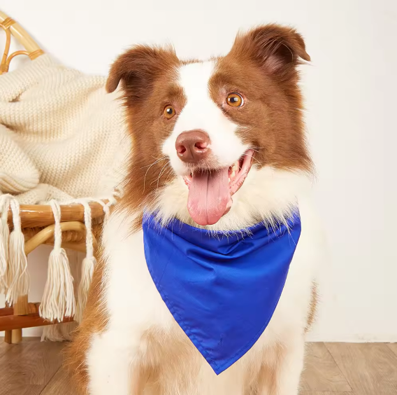 Factory Custom Soft Triangle Pet Bandana for Dogs