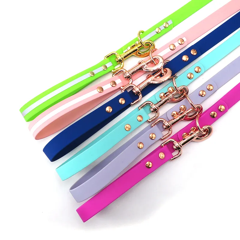 Pet Dog Training Leash Detail 2