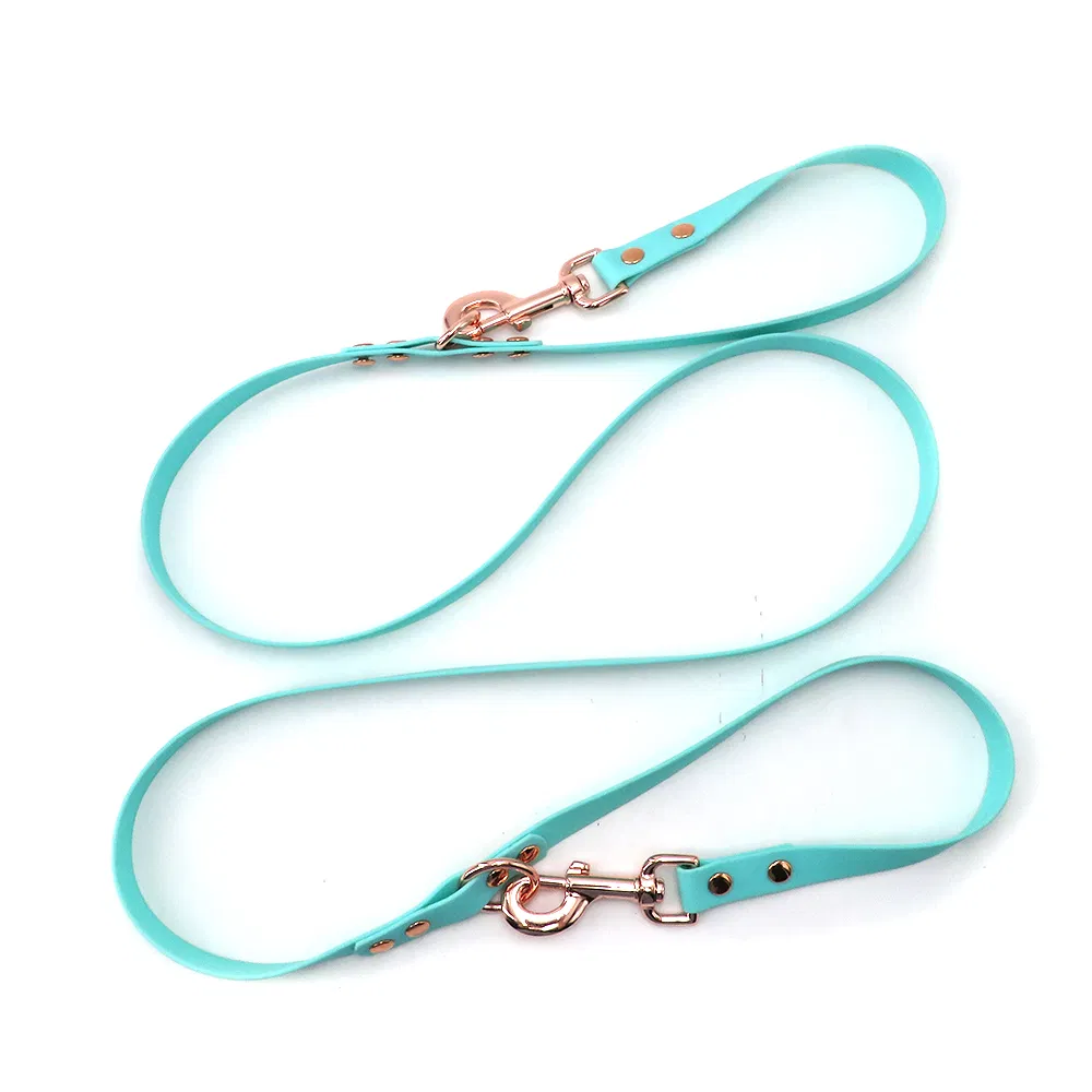 Pet Dog Training Leash Detail 4
