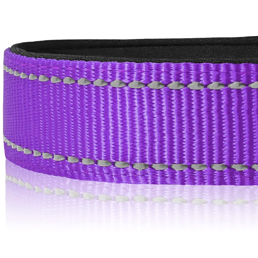 Pet Nylon Reflective Collar Colors