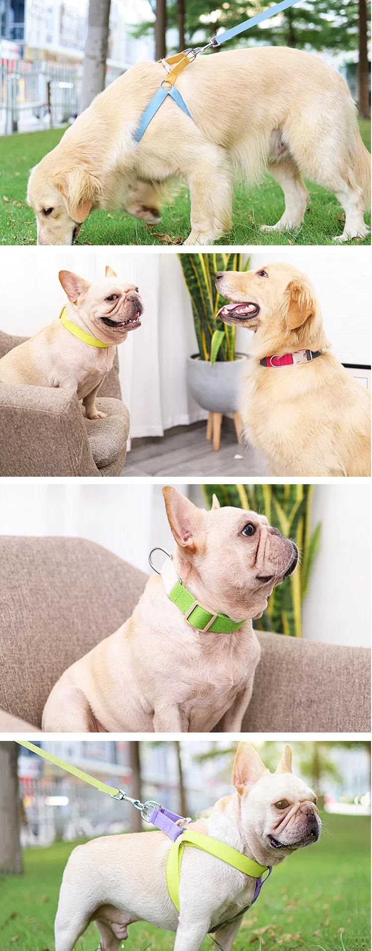 Dog Rope Traction Walk Dog Chest Strap Detail