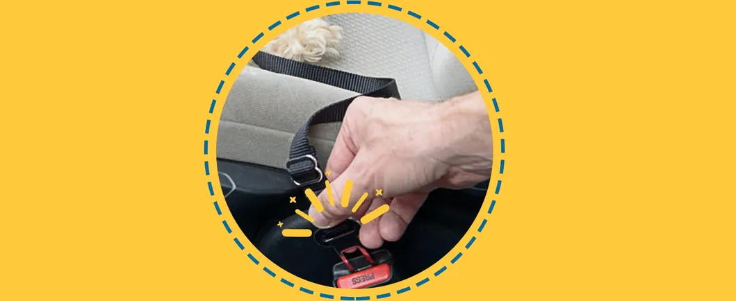 Pet Seat Belt Application