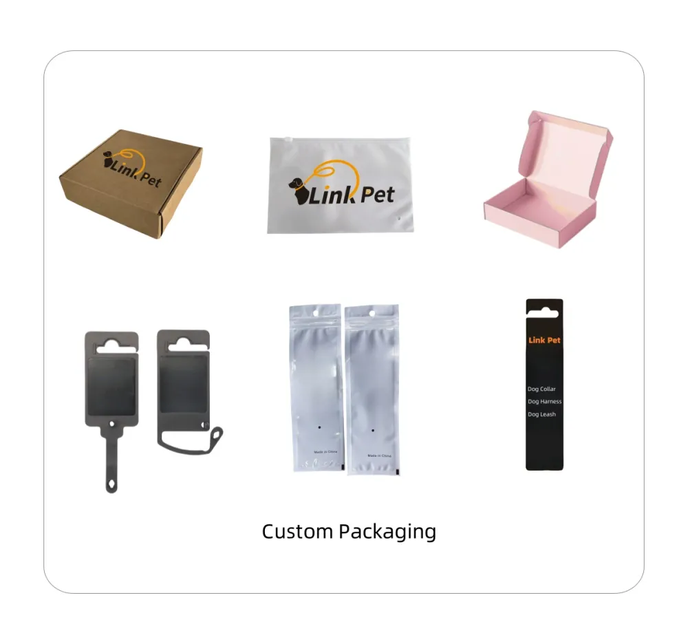 Training Accessories