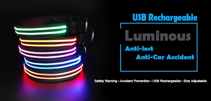 LED Dog Collar Safety Display