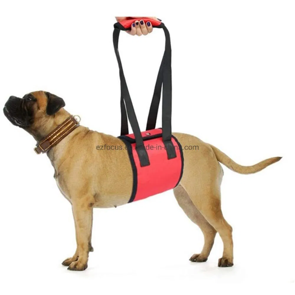 Dog Lift Support Harness Dog Auxiliary Belt Pet Walking Aids Wbb12490