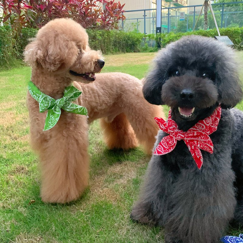 Evaporative Eco-Friendly Cooling Neck Band Ice Silk Scarf Bandana for Pets