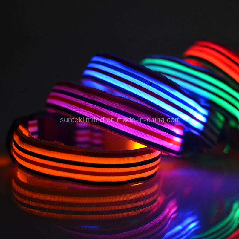 Adjustable LED Flashing Safety USB Rechargeable Colorful Pet Dog Collar with Leash