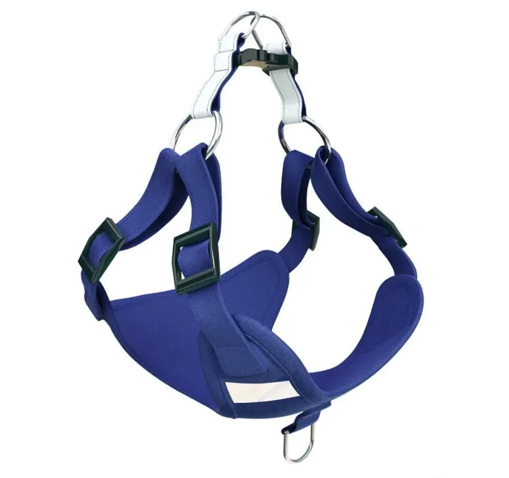 Pet Harness Showcase 6