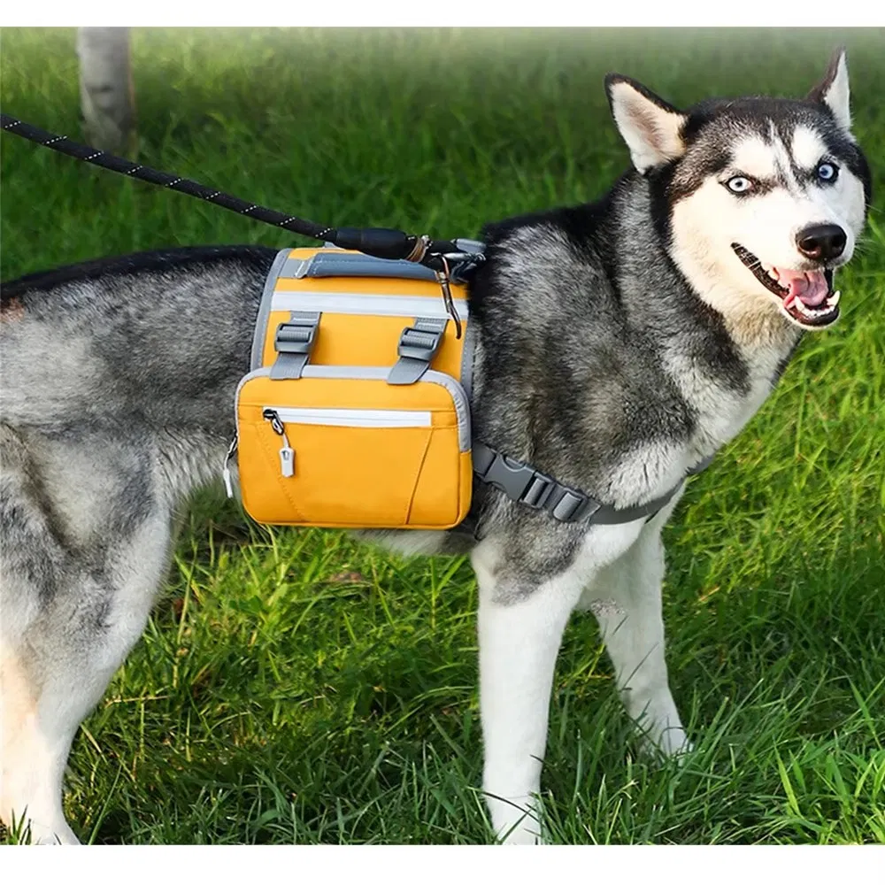 Dog Harness Detail 1