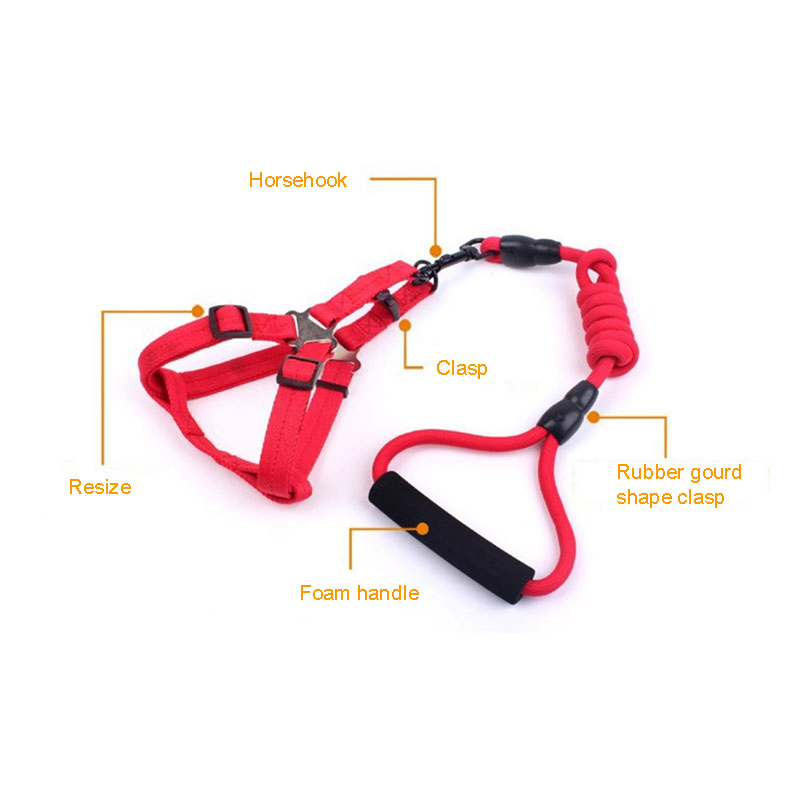 Retractable Dog Pet Collar Leash