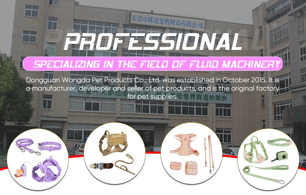 Multifunctional Leashes Set