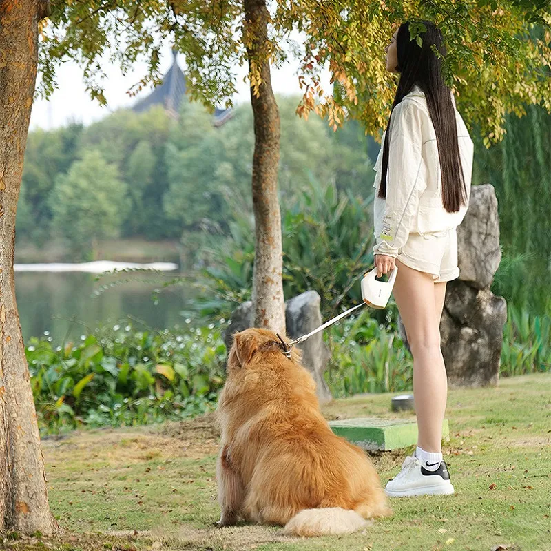 Automatic Retractable Dog Leash 13