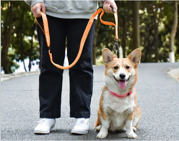 Buffer Retractable Reflective Car Pet Leash Detail 6