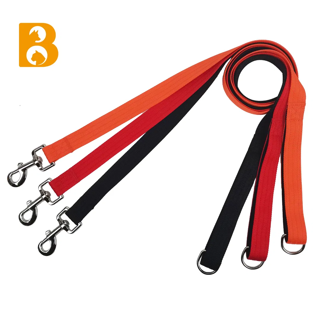 Same Style Pet Training Set