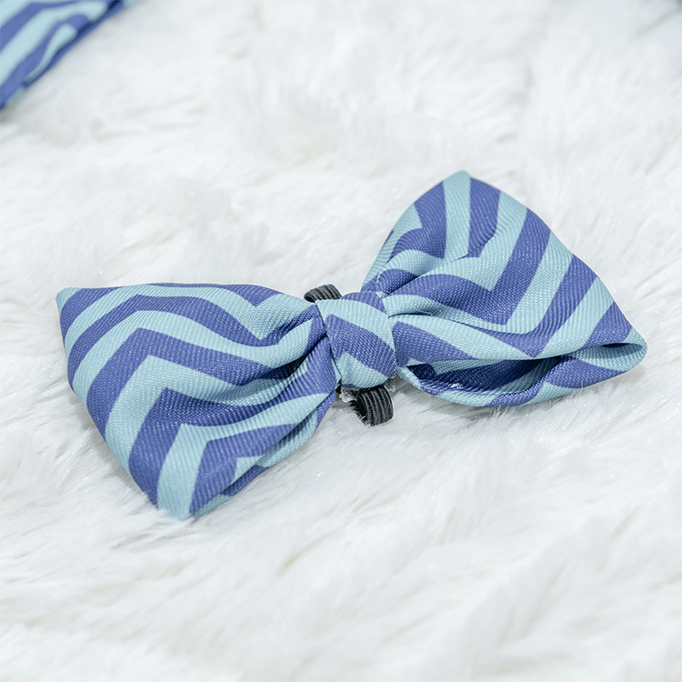Rena Pet Birthday Sets Three Styles Blue Color Funny Hat Bandana Bow Tie for Pet