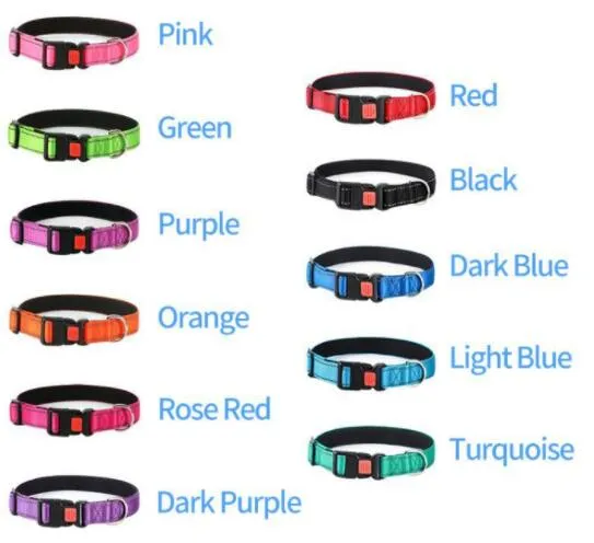 Padded Dog Collar Comfort