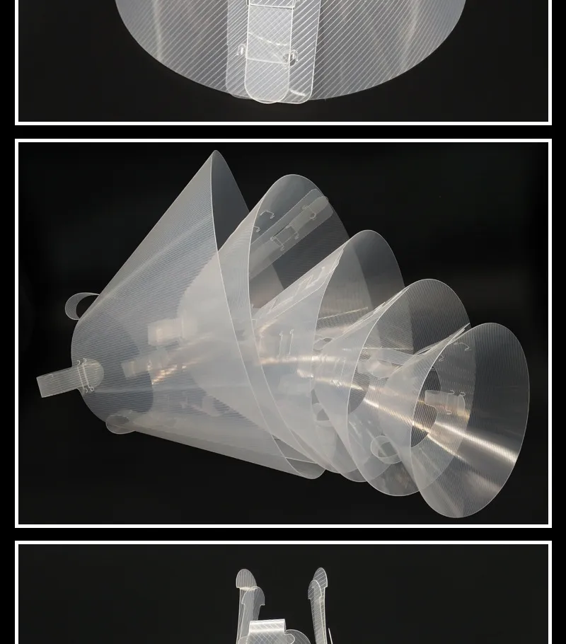 Elizabethan Collar Detail 4