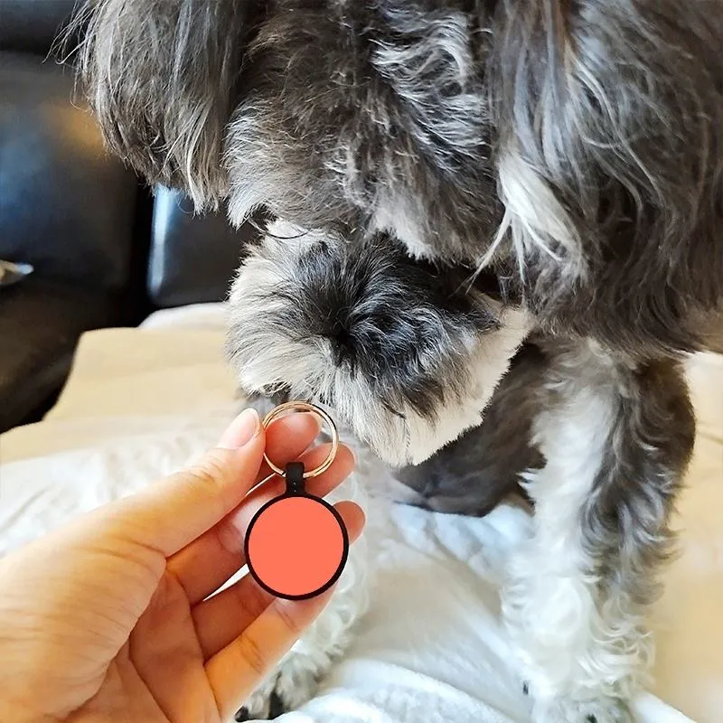 Silent Silicone Pet ID Tag 4