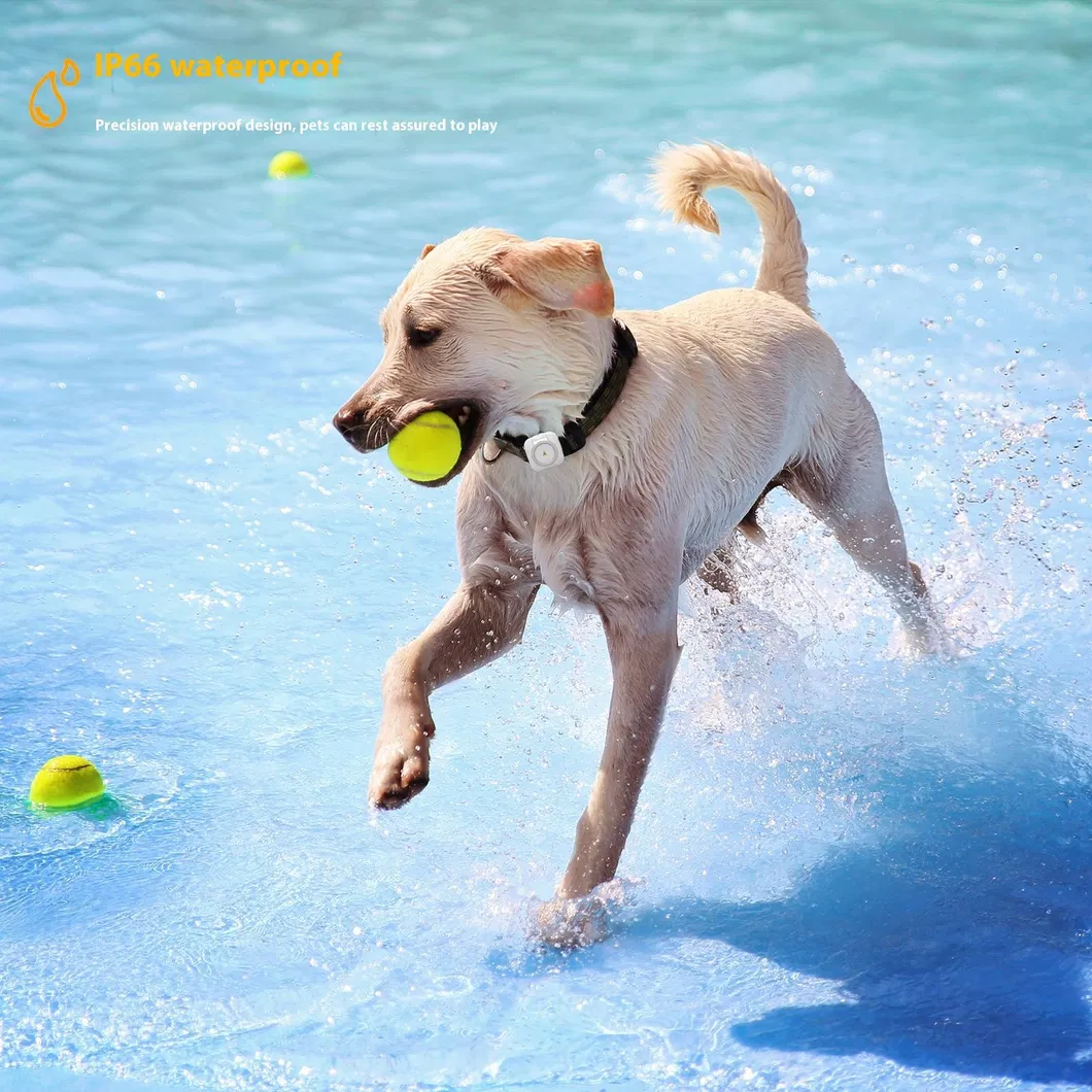 Pet Smart Health Tracker 6